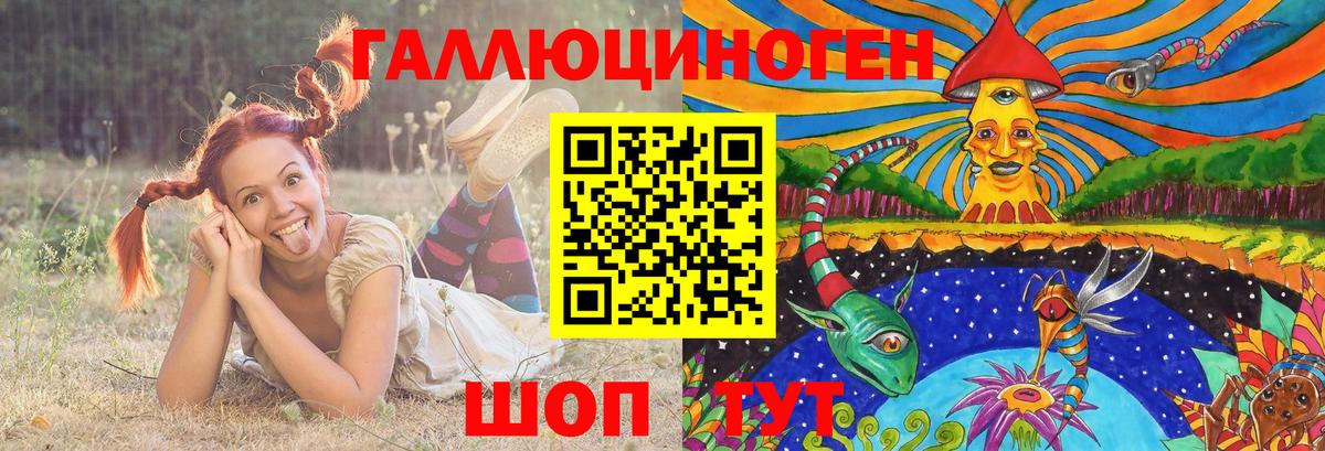 Псилоцибиновые грибы Psilocybe Назрань