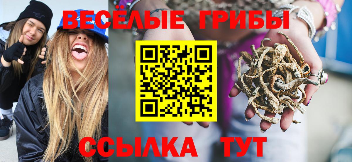 Назрань  Галлюциногенные грибы прущие грибы  Вход с VPN  Галлюциногенные грибы Psilocybe 